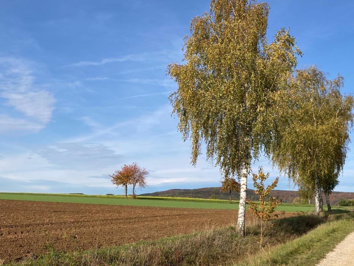 Ferienwohnung Franken Hallerndorf Екстер'єр фото